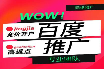 揭秘！百度竞价排名背后的成功故事